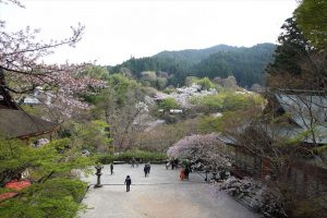 談山神社 - 蹴鞠の庭