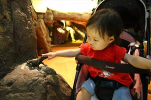 トカゲをなでなで